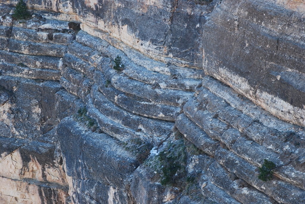 DSC_1802.JPG